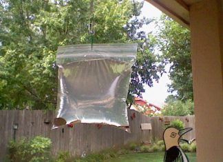 The Easiest Way To Keep Flies Away