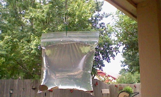The Easiest Way To Keep Flies Away