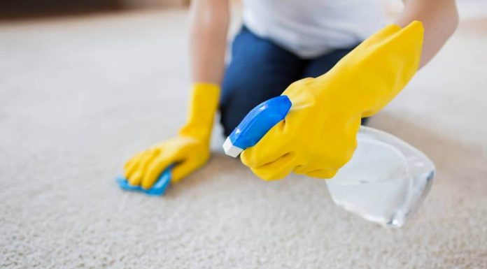 3 Easy Ways to Get Blood Out of Carpet
