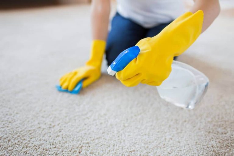 3 Easy Ways to Get Blood Out of Carpet Grandma's Things