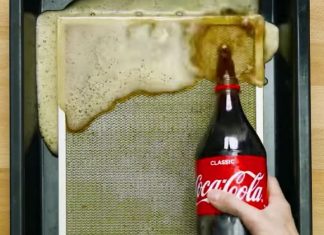 This Is Why You Should Clean The Filter Of Your Extractor Good Using Coke