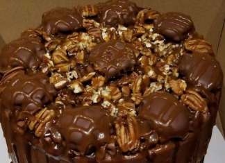 Chocolate Turtle Cake