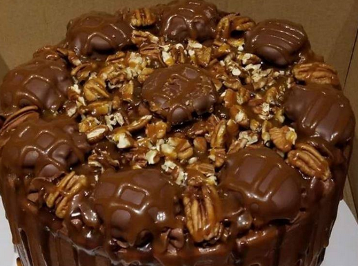 Chocolate Turtle Cake