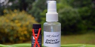 DIY Essential Oil Bug Spray