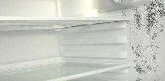 The fastest way to remove mold in the refrigerator