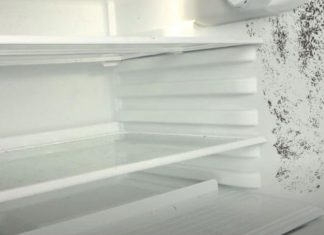 The fastest way to remove mold in the refrigerator