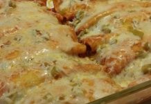 Enchanted Sour Cream Chicken Enchiladas