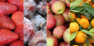 The Best Things To Buy In February To Save Money!