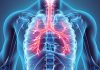 These Are 9 Best Herbs for Lung Cleansing and Respiratory Support