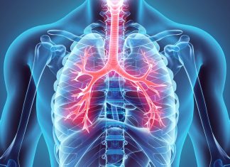 These Are 9 Best Herbs for Lung Cleansing and Respiratory Support