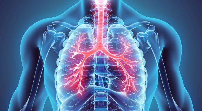 These Are 9 Best Herbs for Lung Cleansing and Respiratory Support