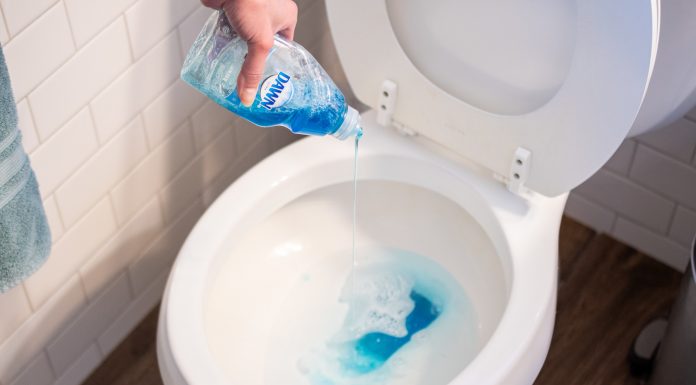 This Is Why You Should Put Dish Soap In Your Toilet.