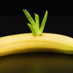 This Is Why You Should Put An Aloe Vera Plant In A Banana