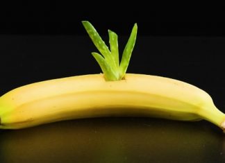 This Is Why You Should Put An Aloe Vera Plant In A Banana