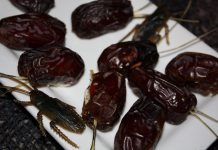 Shocking: You’ll Never Eat Dates Again For This Gross Reason!