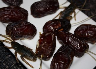 Shocking: You’ll Never Eat Dates Again For This Gross Reason!