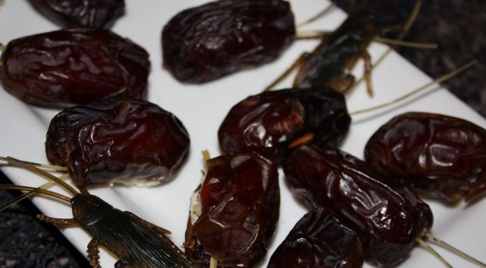 Shocking: You’ll Never Eat Dates Again For This Gross Reason!