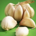 garlic