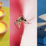 natural-ways-to-prevent-mosquito-bites-722×406