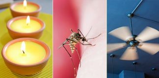 5 Simple & Effective Ways To Prevent Mosquitoes From Biting You