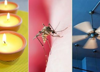 5 Simple & Effective Ways To Prevent Mosquitoes From Biting You