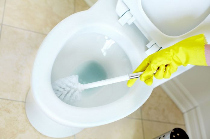 This Is Why You Should Stop Cleaning Your Toilet With Chlorine Bleach - Cleaning & Household 2024 | PopcornTime