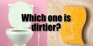 10 Daily-Use Things That Are Dirtier Than Your Toilet Seat