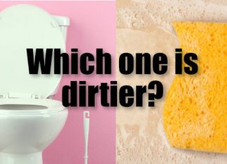 10 Daily-Use Things That Are Dirtier Than Your Toilet Seat