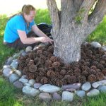 5 Surprising Ways To Use Pine Cones In Your Garden