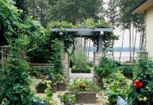 The Mistakes You Make In Your Garden When Growing Vegetables