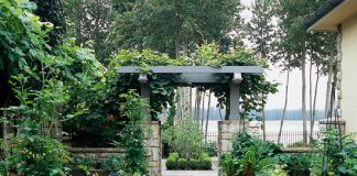 The Mistakes You Make In Your Garden When Growing Vegetables