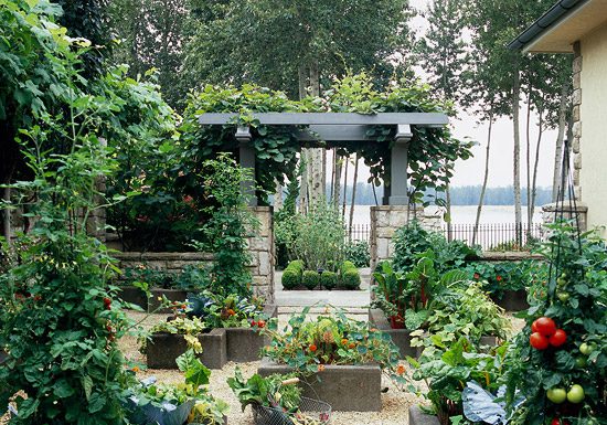 The Mistakes You Make In Your Garden When Growing Vegetables