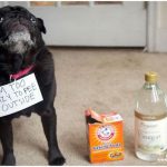 25cc30cd0dc6114cea40c2ee7b06395c