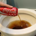 Clean-Your-Toilet-With-Coca-Cola