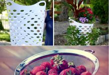 How To Grow Strawberries Using a Laundry Basket