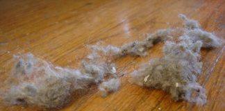 How To Effectively And Easily Reduce Dust In Your Home