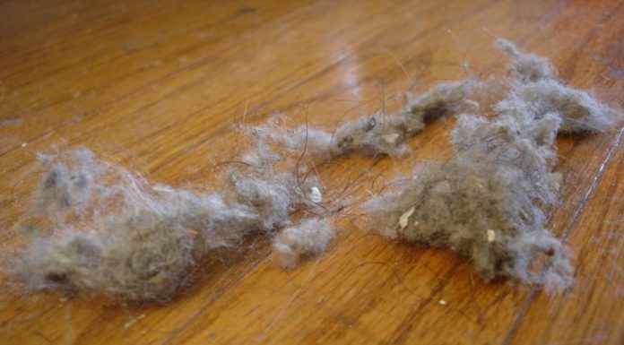 How To Effectively And Easily Reduce Dust In Your Home