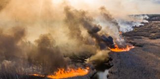 Another Catastrophic Event Is Coming Up Soon In Chernobyl Because Of The Forest Fires!