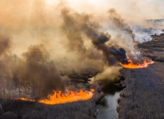 Another Catastrophic Event Is Coming Up Soon In Chernobyl Because Of The Forest Fires!
