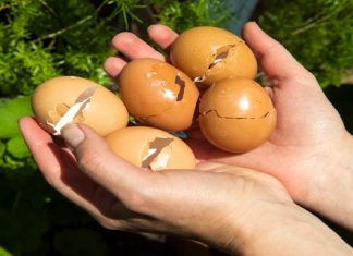 5 Reasons To Keep Used Eggshells