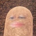 boss-unintentionally-turns-herself-into-potato-during-an-online-meeting-and-has-no-idea-how-to-undo-it