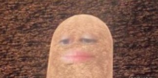 Hilarious Photo Of A Boss Who Untintentionally Turned Into Potato During An Online Meeting