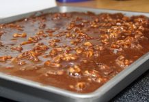 TEXAS TURTLE SHEET CAKE