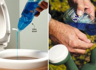 Surprising Frugal Uses Of Dawn Dish Soap