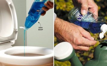Surprising Frugal Uses Of Dawn Dish Soap