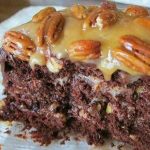 TURTLE CARAMEL CAKE RECIPE
