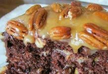 TURTLE CARAMEL CAKE RECIPE