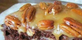 TURTLE CARAMEL CAKE RECIPE