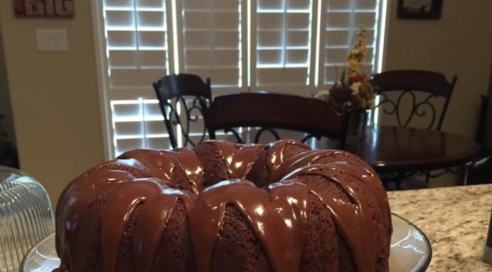 Tunnel of Fudge Cake ! Food Insurance