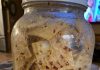 Cracker Shake